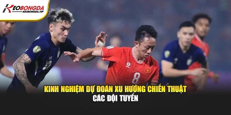 Kinh nghiệm dự đoán xu hướng chiến thuật các đội tuyển
