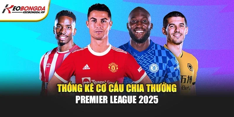Thống kê cơ cấu chia thưởng Premier League 2025