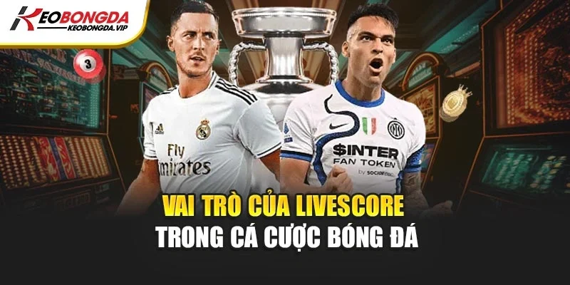 Vai trò của Livescore trong cá cược bóng đá