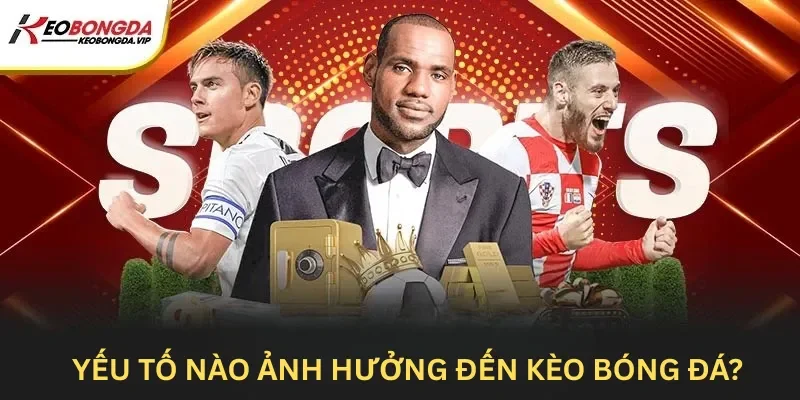 Những yếu tố quyết định sự biến động của kèo bóng đá