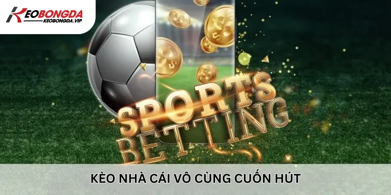 Kèo nhà cái là gì - Hình thức chơi cực cuốn