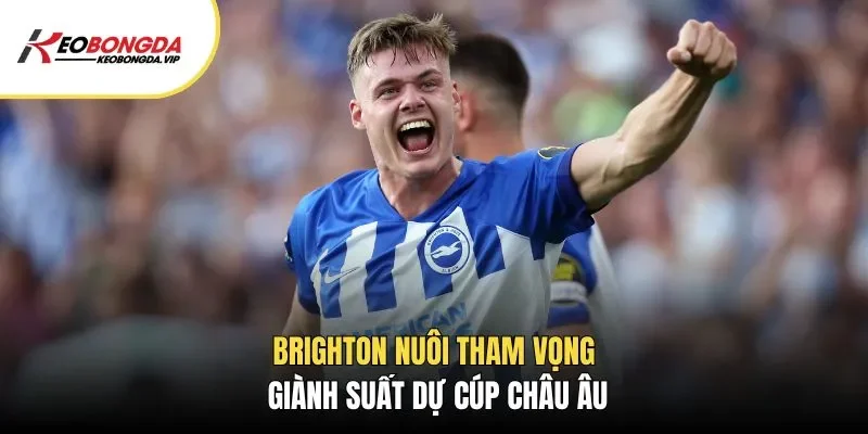 Brighton nuôi tham vọng giành suất dự Cúp Châu Âu