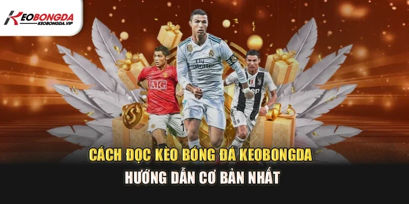 Cách đọc kèo bóng đá