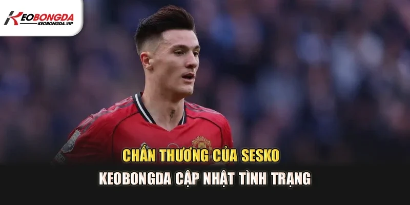 Chấn Thương Của Sesko – Kèo Bóng Đá Cập Nhật Tình Trạng
