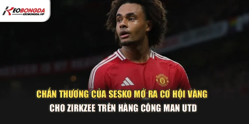 Chấn thương của Sesko mở ra cơ hội vàng cho Zirkzee trên hàng công Man Utd