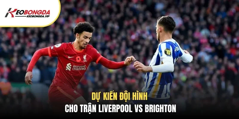 Dự kiến đội hình cho trận Liverpool vs Brighton