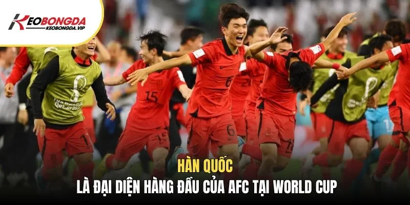 Hàn Quốc là đại diện hàng đầu của AFC tại World Cup