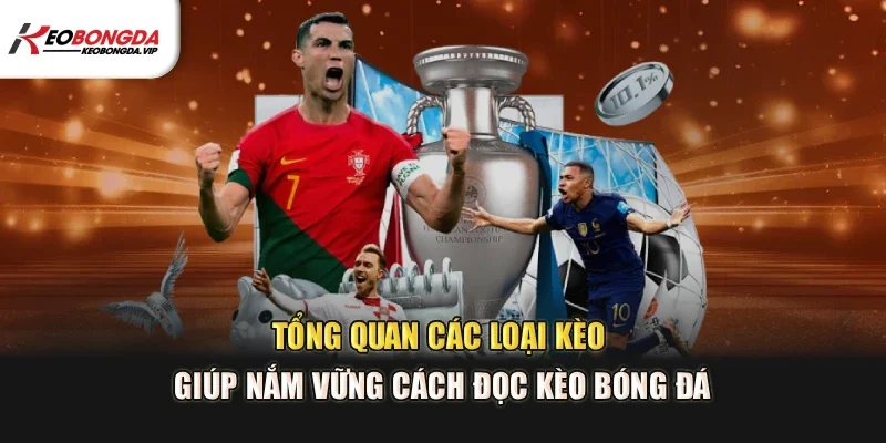 Tổng quan các loại kèo giúp nắm vững cách đọc kèo bóng đá