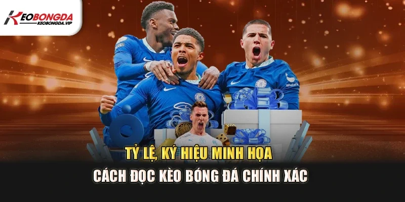 Tỷ lệ, ký hiệu minh họa cách đọc kèo bóng đá chính xác