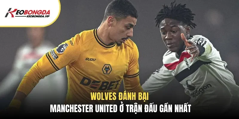Wolves đánh bại Manchester United ở trận đấu gần nhất